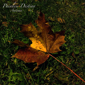 夜夜躁日日躁狠狠久久
